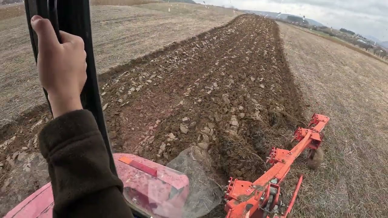 [GoPro]  Cab View | BELARUS 1221.5 & MASS (UNLU) 3+1 | Plowing wheat