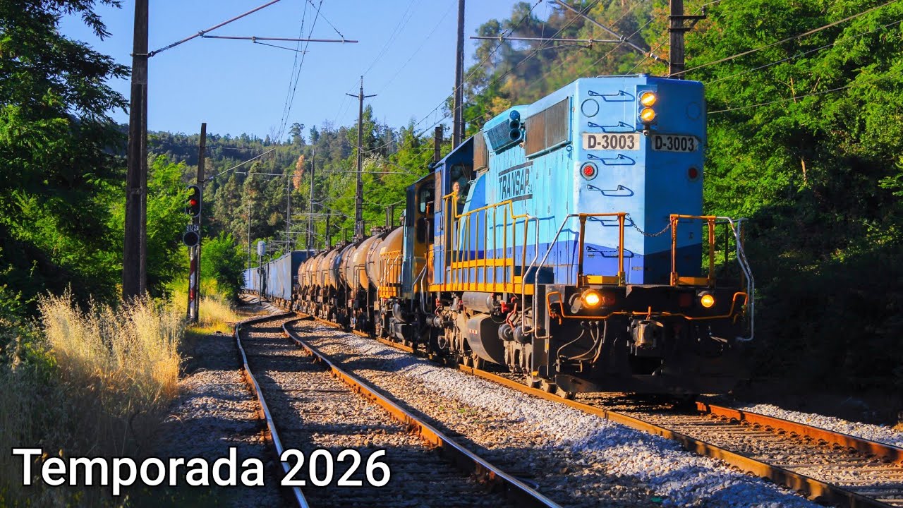 Transap & Fepasa | Compilado de trenes 