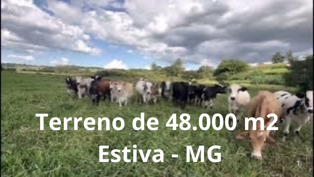 Com uma Casa e uma Cobertura e Curral. Poço de água natural e área de pastagem e plantio