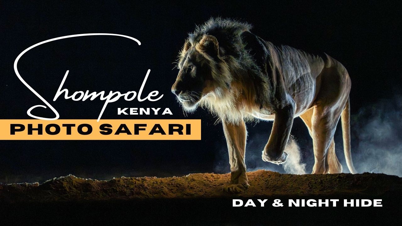 Africa Safari Experience Kenya |Behind the lens night hide wildlife photography- Shompole Wilderness