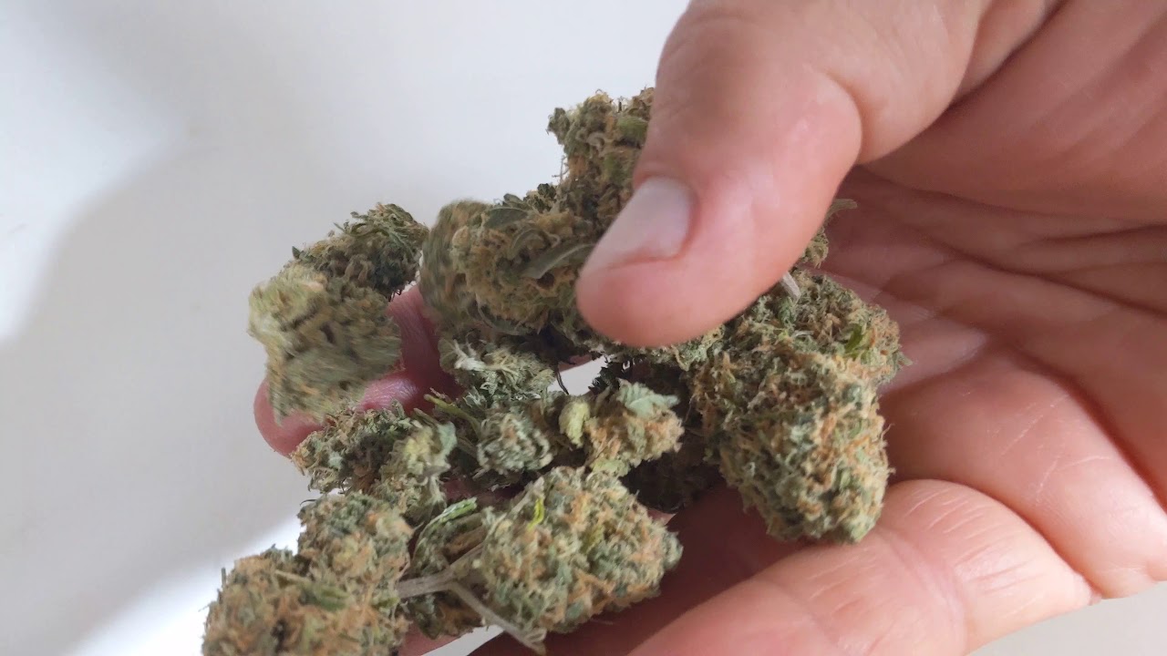 Grow room update. And harvested, trimmed and now curing the Cali Orange