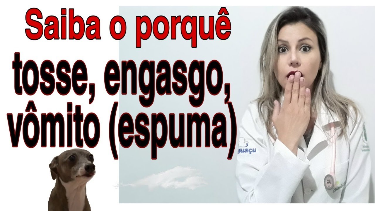 Cachorro com tosse? Cachorro parece engasgado? O que é e como tratar a tosse no cão?Tosse dos Canis?