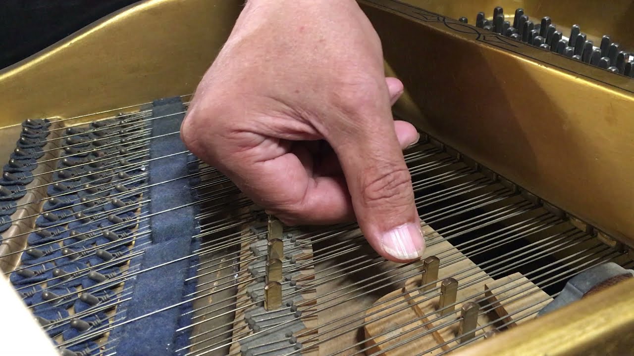 Bluthner Aliquot Grand; Overview and Demonstration
