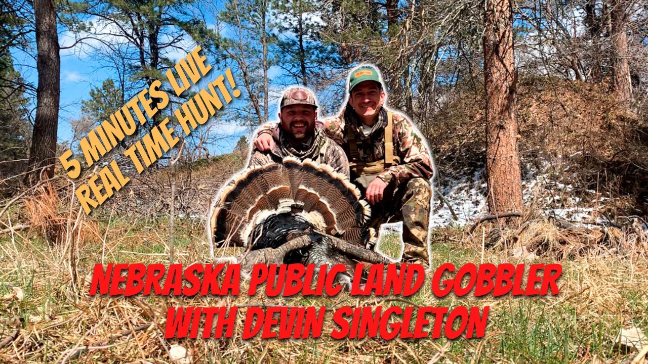 LIVE TURKEY HUNT Gobbler down in 5 MINUTES | Nebraska PUBLIC LAND with Devin Singleton!