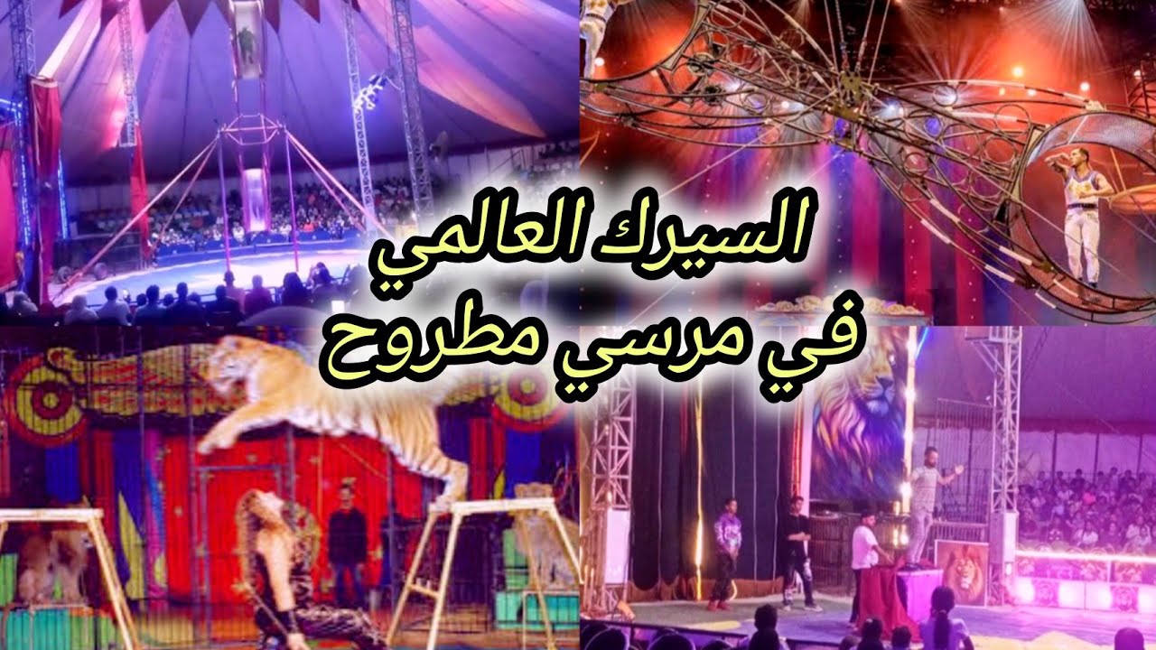 السيرك العالمي 🎪🦁في مرسي مطروح السحر والجمال والإبداع 🤡🍿