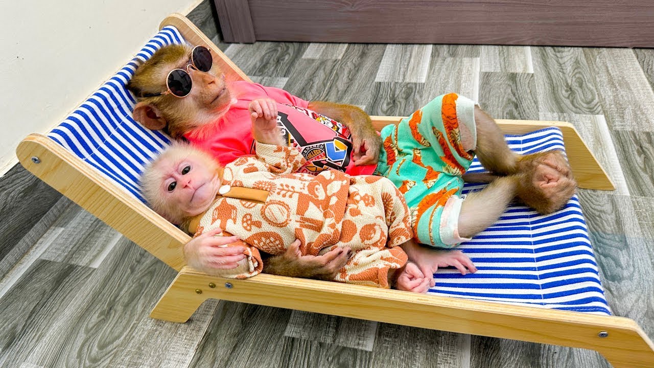 Monkey Kaka and Monkey Kaka are lying on their new bed, they look so cute!