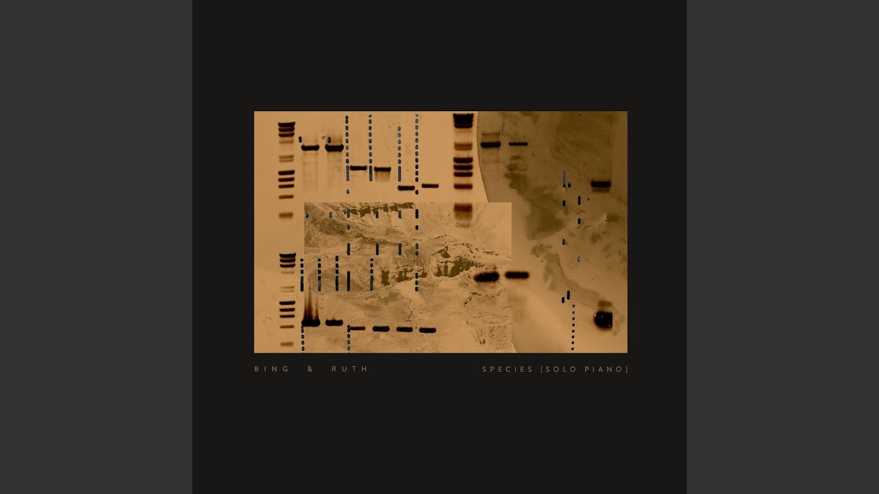Body in a Room (solo piano)