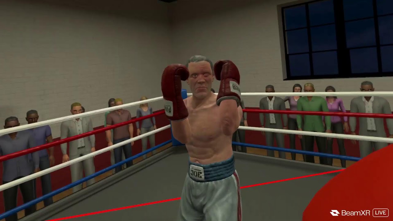 playing any game on vr.