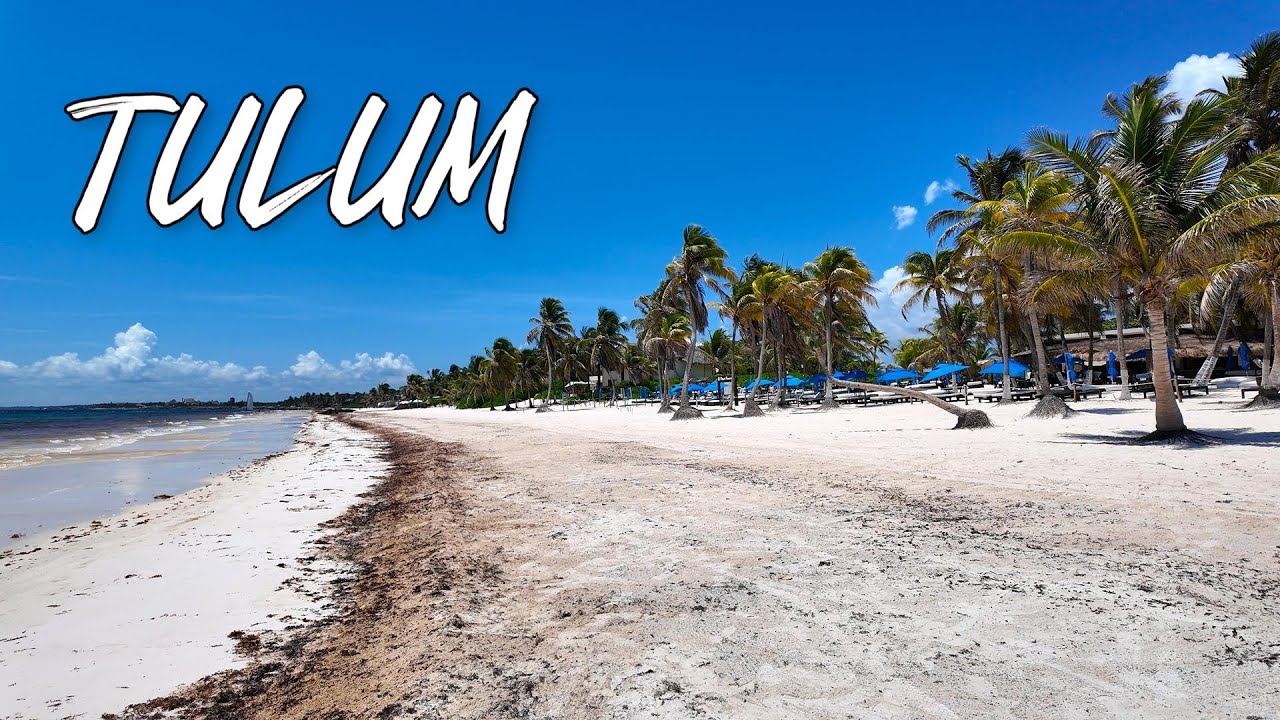 🔴ALFIN PLAYAS GRATUITAS EN ❗TULUM🌴VERDAD O MENTIRA ??