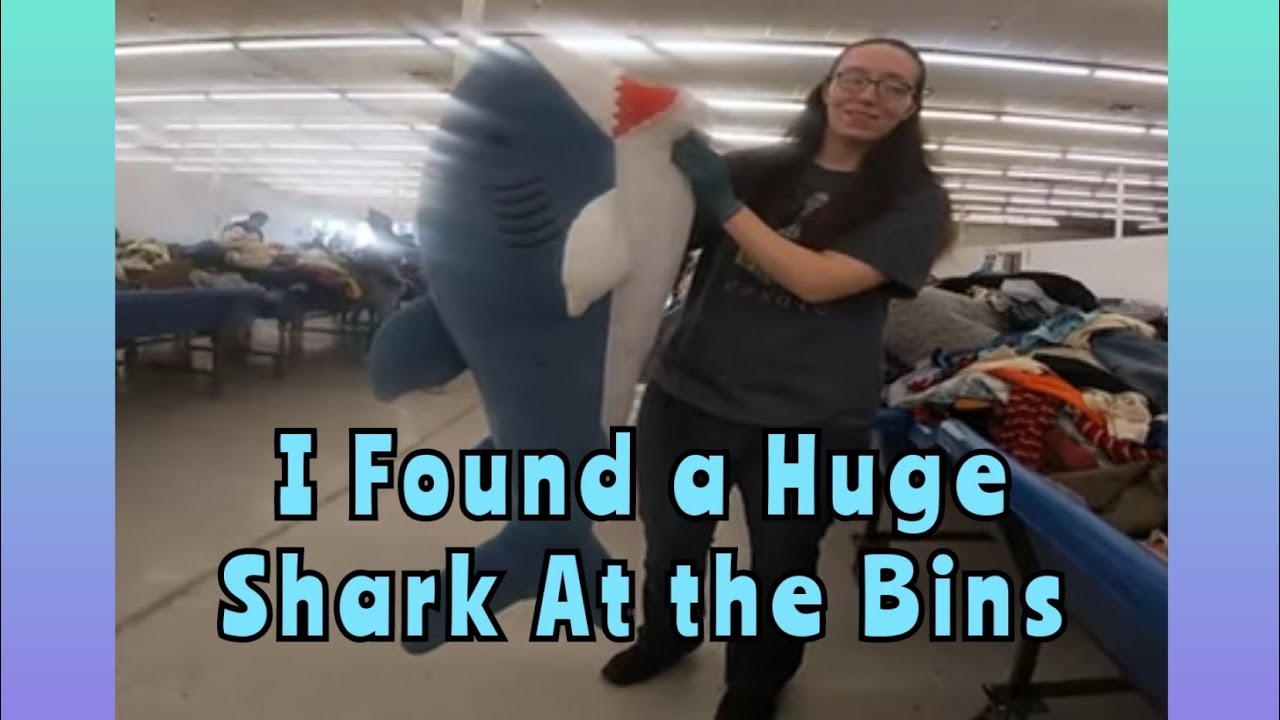 I Found a Huge Shark At the Bins