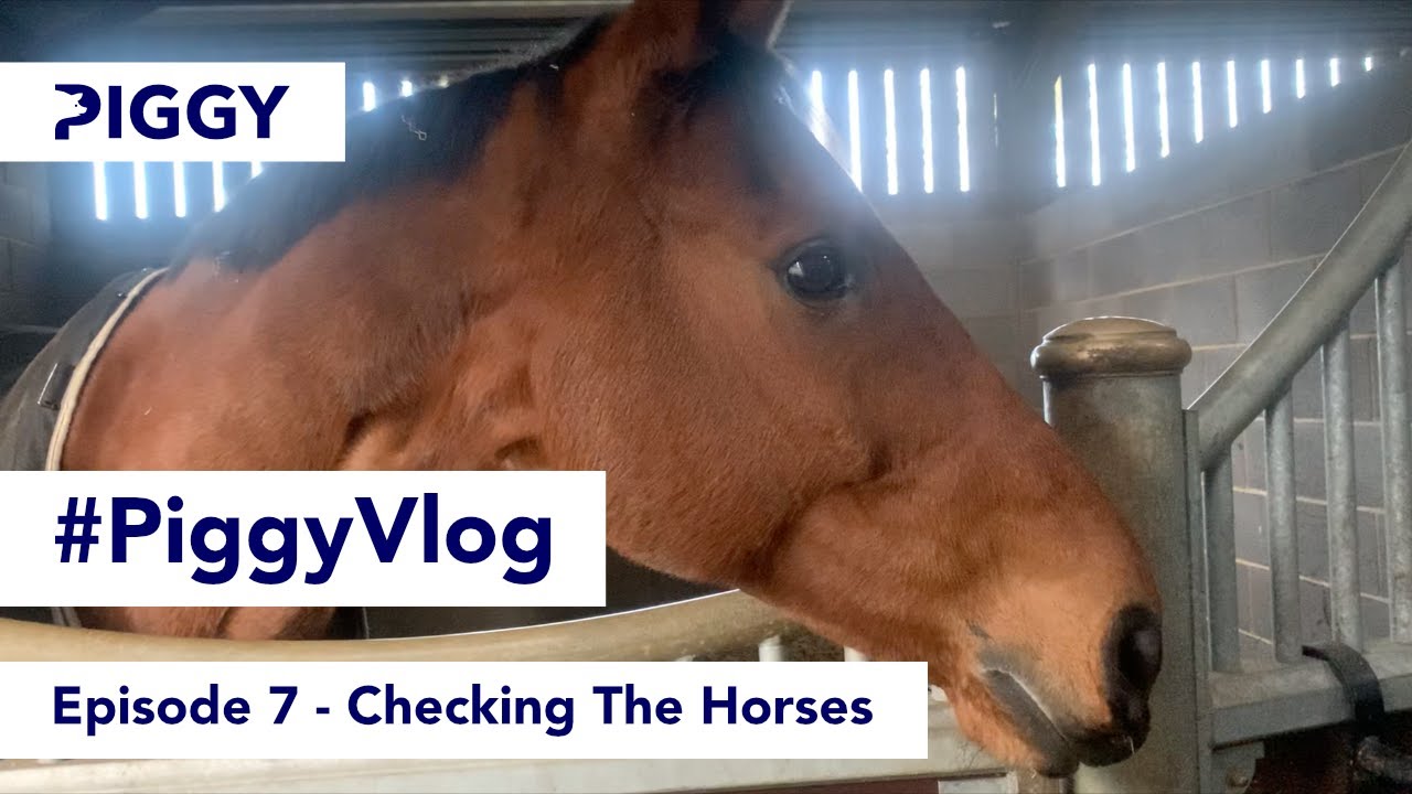Checking The Horses | Episode 7 | #PiggyVlog 2021 | Piggy March