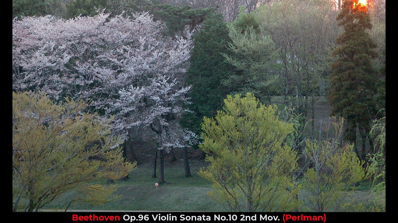Beethoven Op.96 Violin Sonata No.10 2nd Mov.(Perlman)