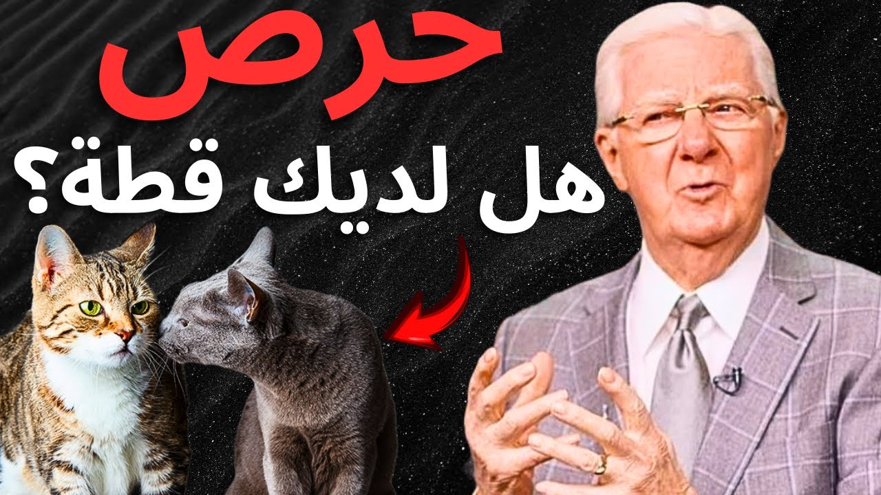 مذهل: ما يكشفه بوب بروكتور لمن يملك قطة في المنزل | قانون الجذب