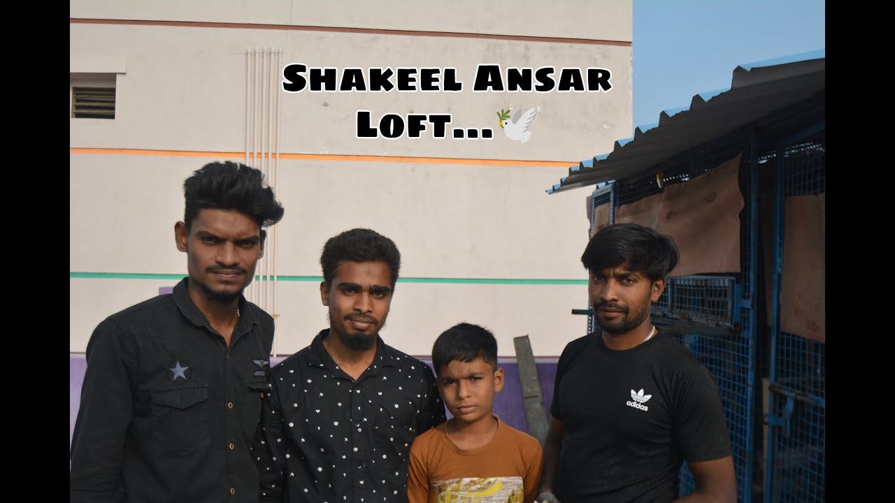 Vellore District|Shakeel Ansar|Homar Racing Pigeons|Visit Vellore Pigeon Hakim