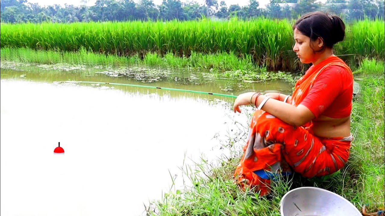Fishing video ✅ A beautiful lady is fishing with a hook in a rice field canal | amazing Fish traps 