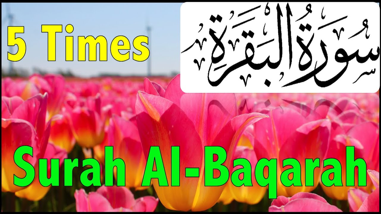 Surah Al Baqarah Full (5 Times) with beautiful Tulips | سورة البقرة | Beautiful Recitation of Quran