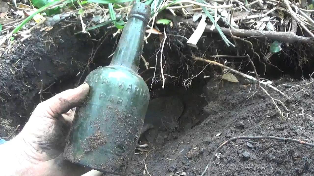 Jungle Digging 101..Florida Adventure