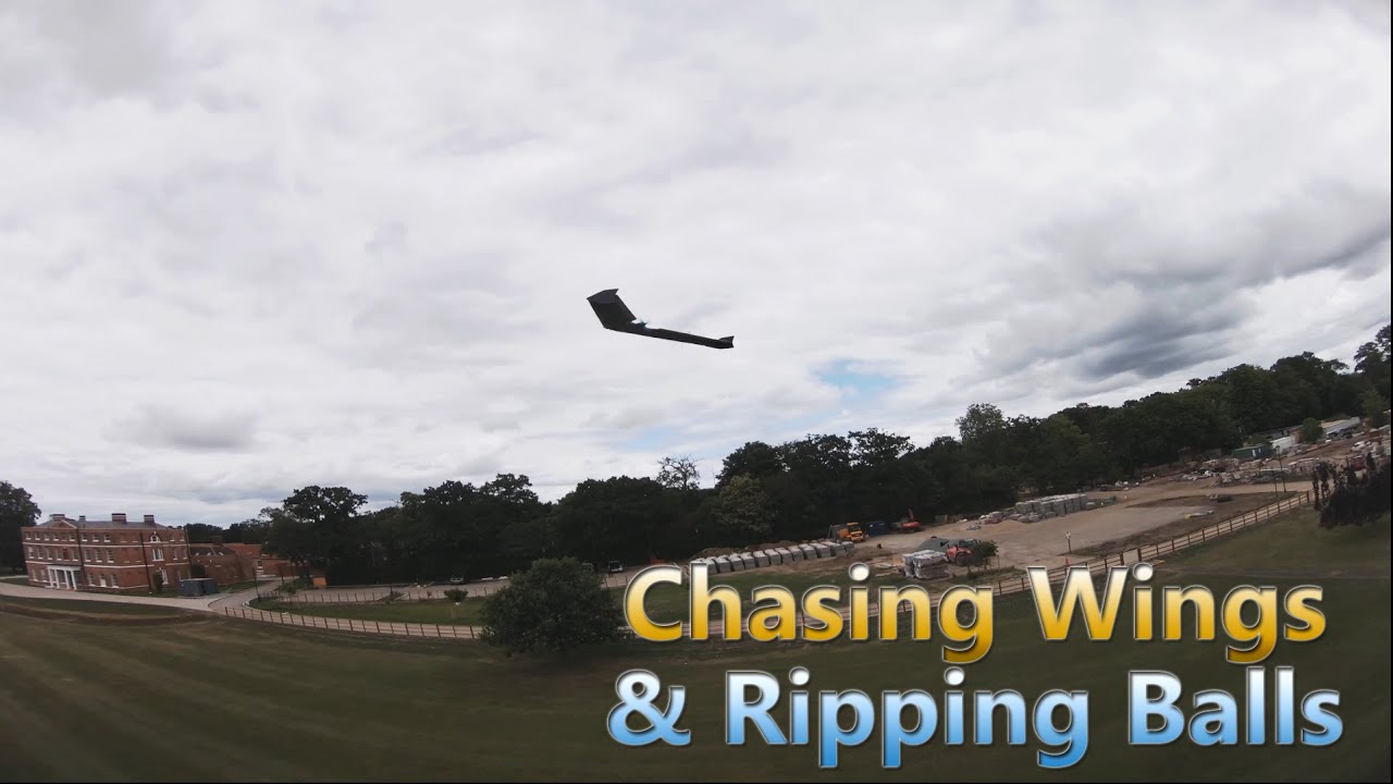 Chasing Wings and Ripping Balls - FPV Freestyle - 4K