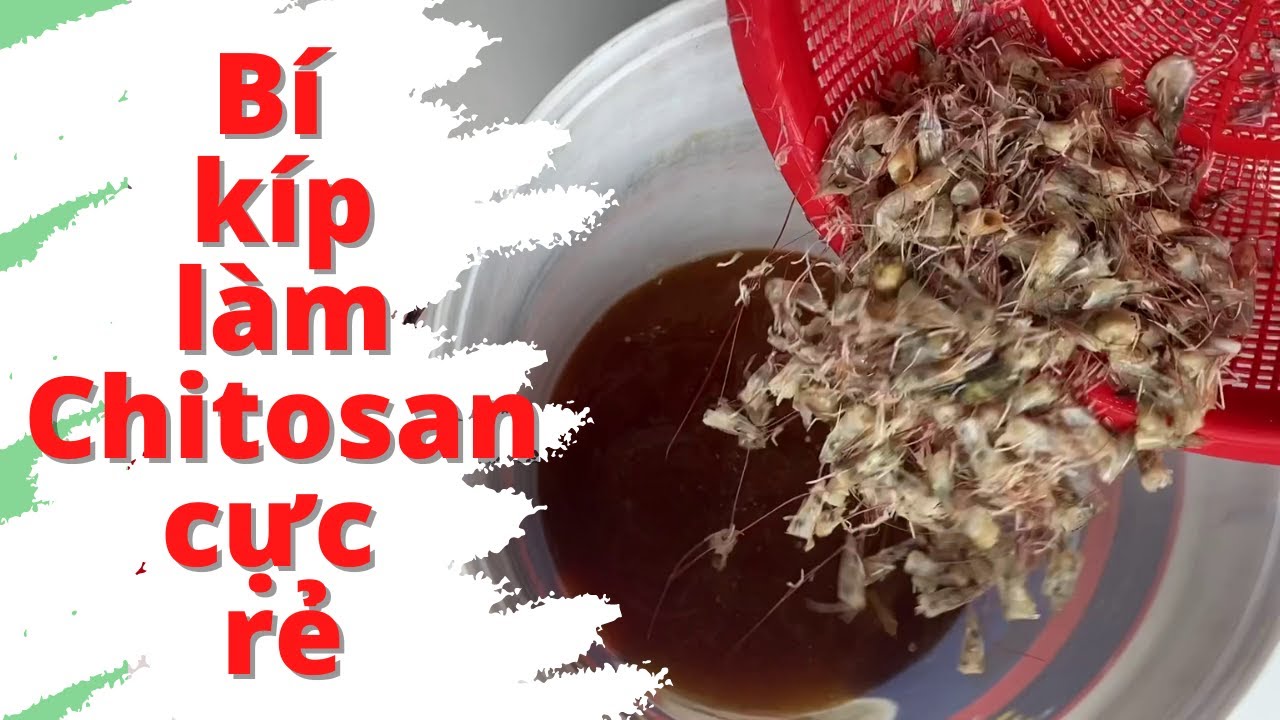 Bí kíp làm Chitosan cực rẻ, kháng khuẩn, diệt nấm bệnh, tuyến trùng ...