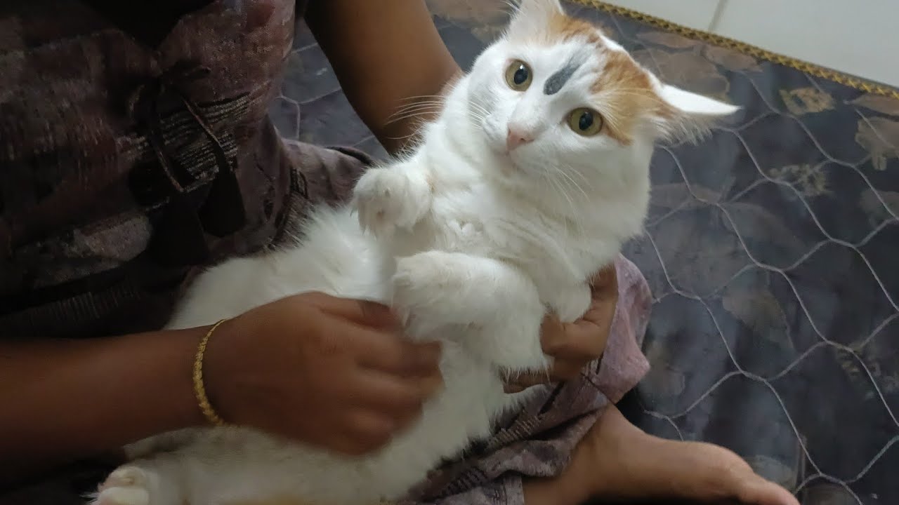 बबड्या:-आई आणि आम्ही बेडवर झोपणार आहोत तुम्ही हॉलमध्ये जा बाबा तुम्हाला जागा नाही!