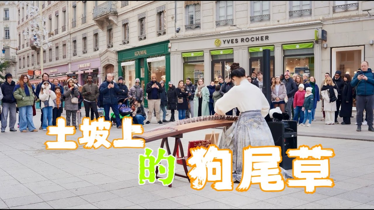【古筝｜土坡上的狗尾草】对 你 的 思念 震耳欲聋！Musical Instruments Guzheng Cover| 碰碰彭碰彭Jingxuan