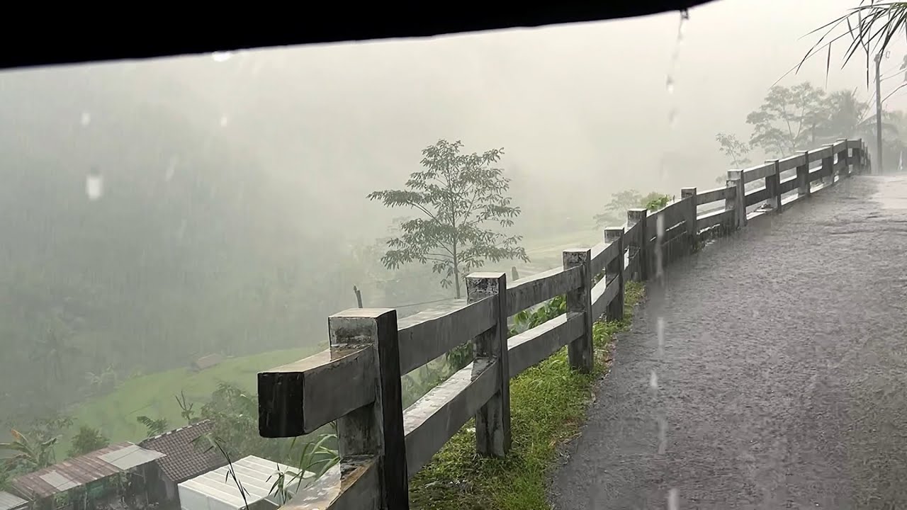 🔴LIVE heavy rain in beautiful village||very smooth and heavy||sleep in 5 minutes