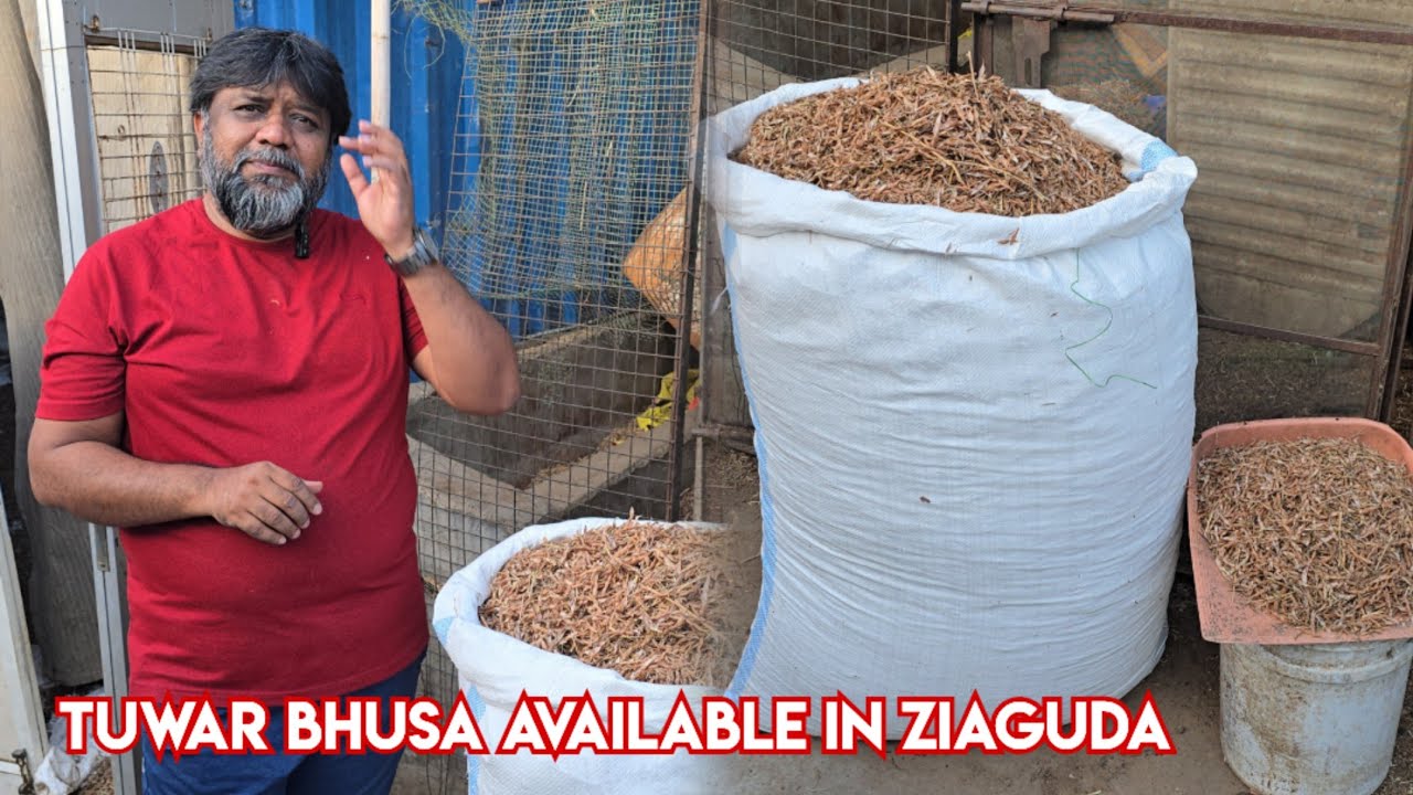 Tuwar Bhusa Available in Ziaguda | Zakir Bhai Shared Bakrid Experience | Hyderabad