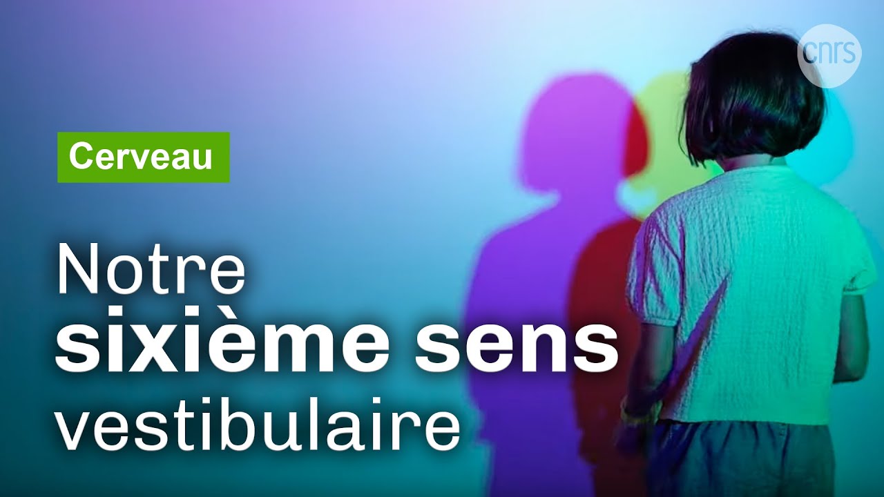 Le système vestibulaire, un sixième sens méconnu | Reportage CNRS