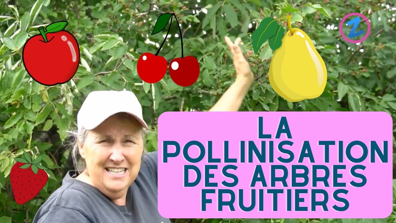 La pollinisation, les arbres fruitiers et les oiseaux - capsule horticole