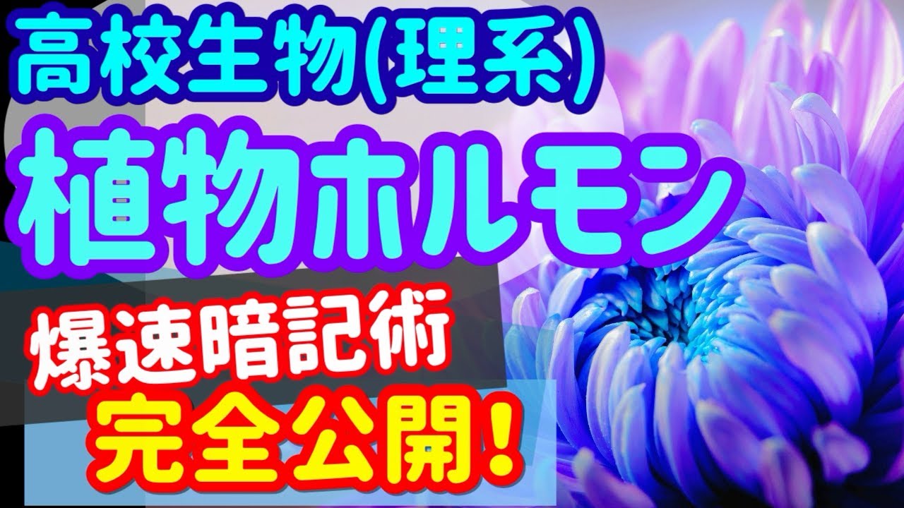 【高校生物62】【植物ホルモンの分類】を宇宙一わかりやすく