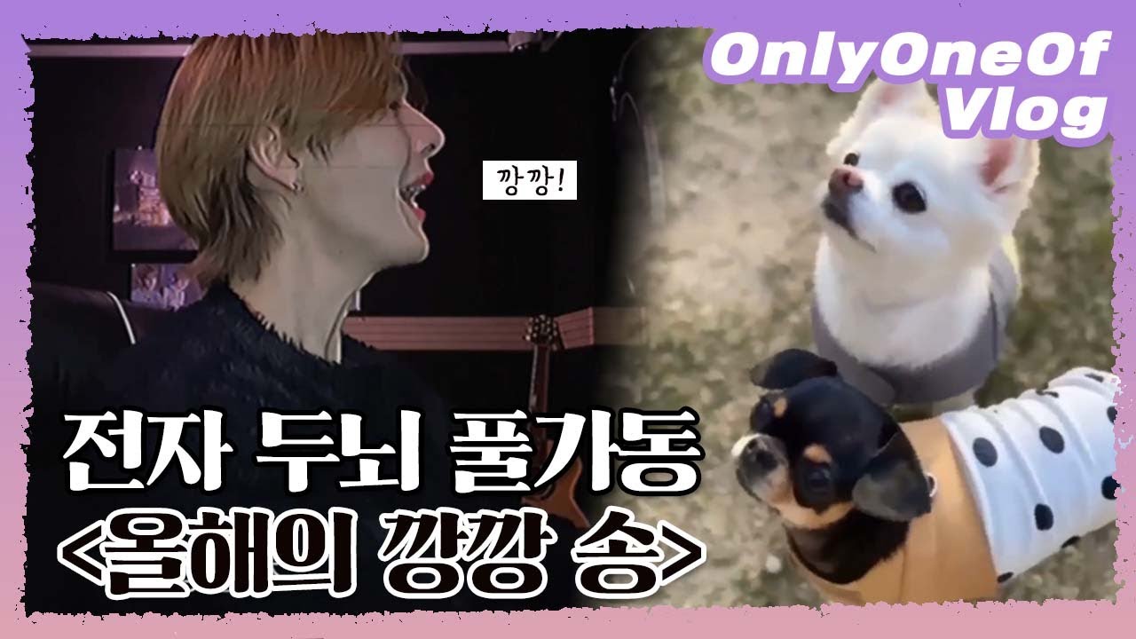 [Vlog] OnlyOneOf KB is NOT BANK #2 | 전자 두뇌 풀가동 '올해의 깡깡송'