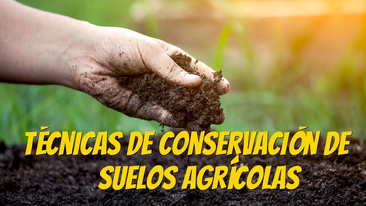 Técnicas de conservación de suelos agrícolas