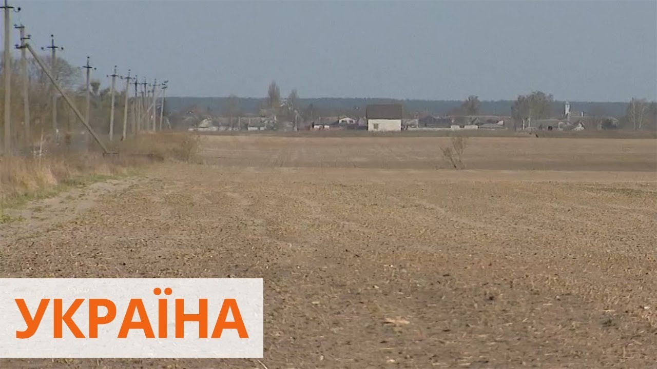 Высушенные болота и уничтоженные лесополосы: почему в Украине портится почва