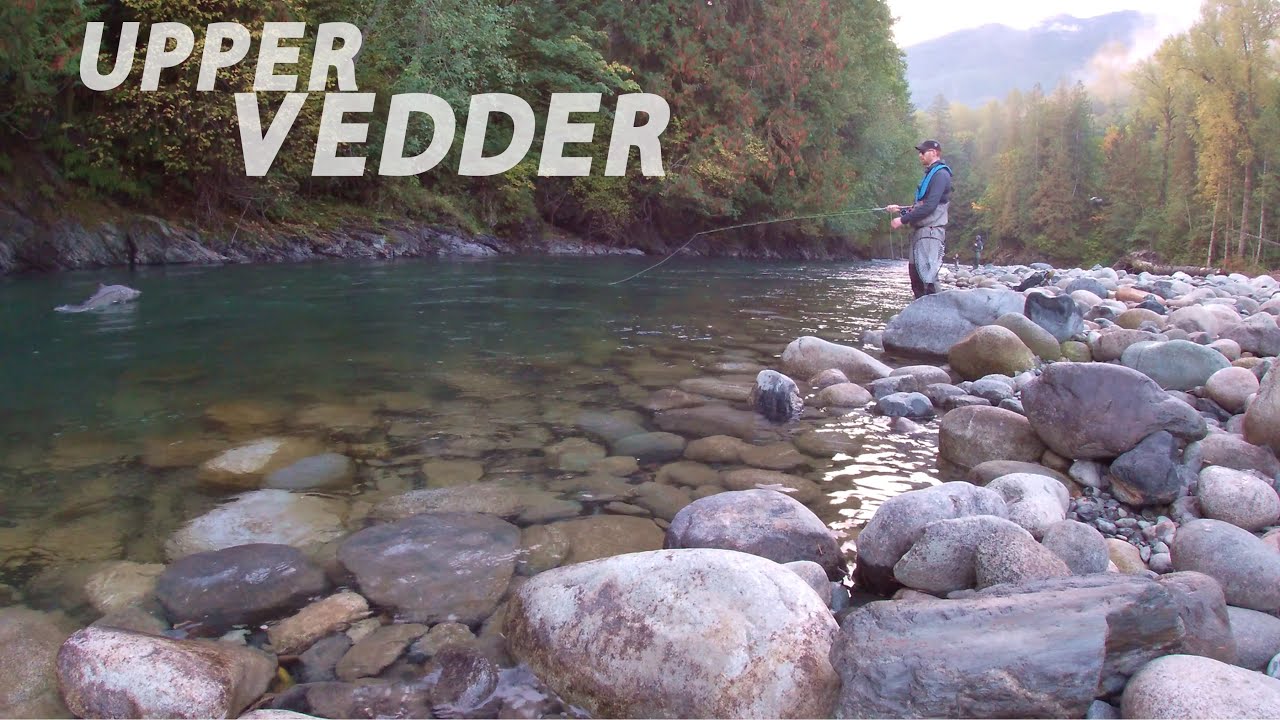 I found a great Chinook spot but struggled fishing the upper Vedder / Chilliwack River