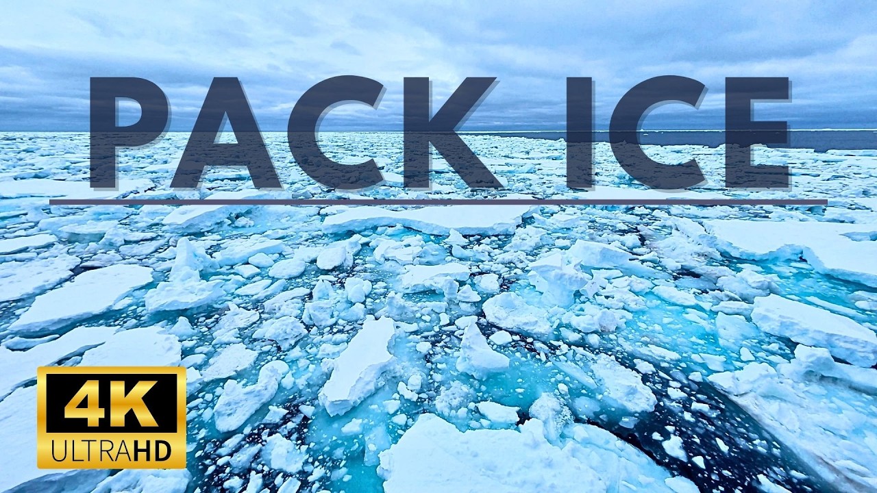 First Pack Ice (Elephant Island)