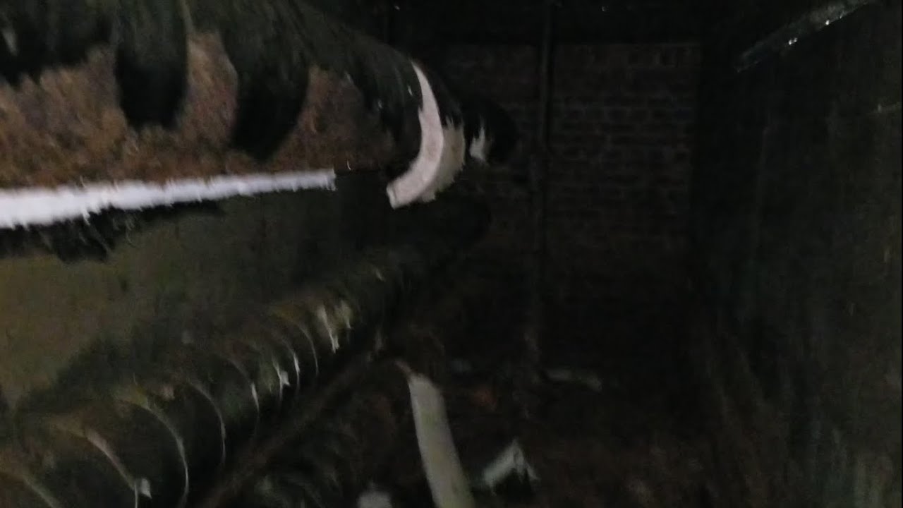 KPPC Urbex: Utility Tunnels, Part 1