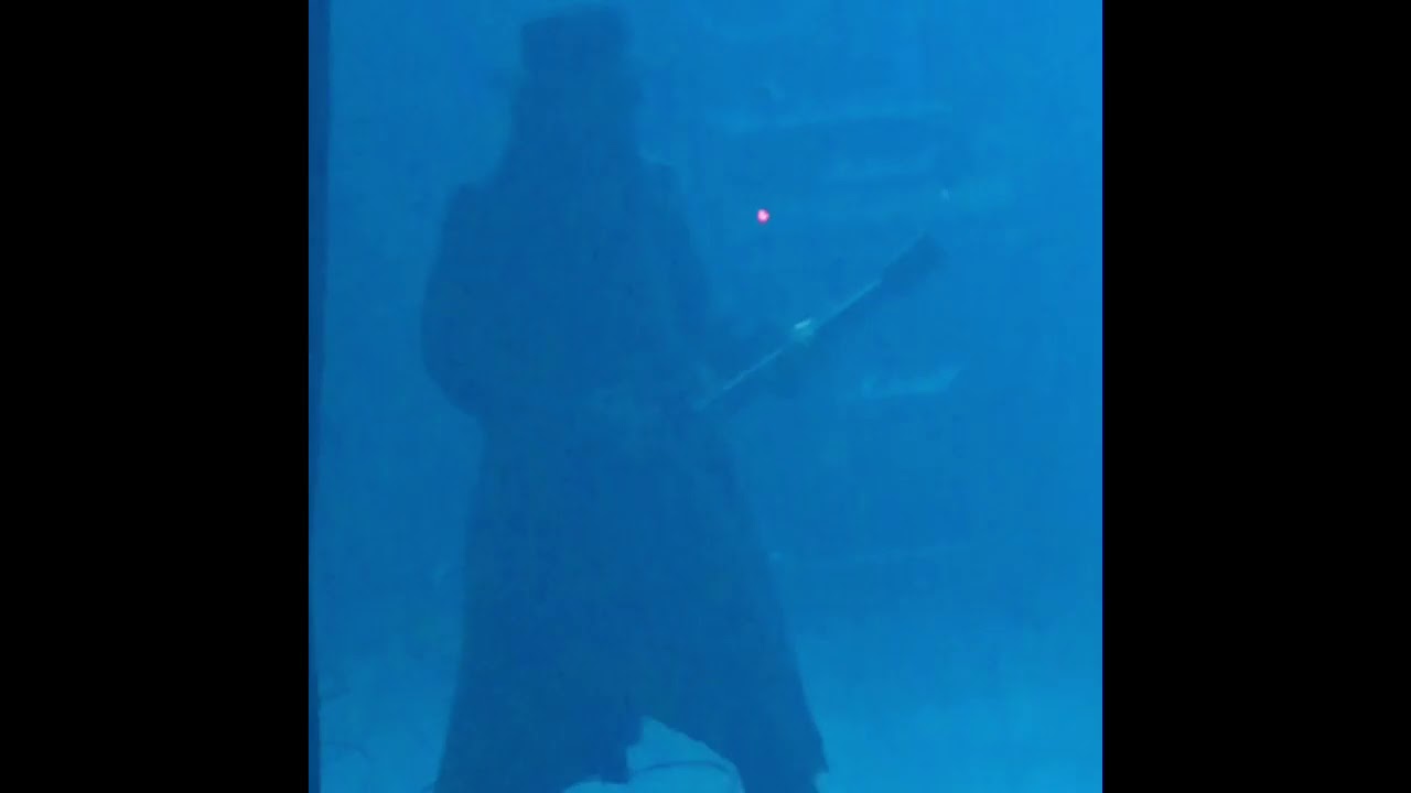 Fields Of The Nephilim : Moonchild.