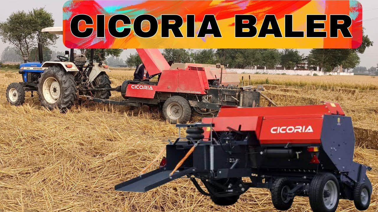 CICORIA BALER 2023 ਪਰਾਲੀ ਦੀ ਗੰਢ- ਵੇਲਰ ਦੀ ਵੀਡੀਓ ਪਿੰਡ (ਮਿਓਵਾਲ ) 7-11-23