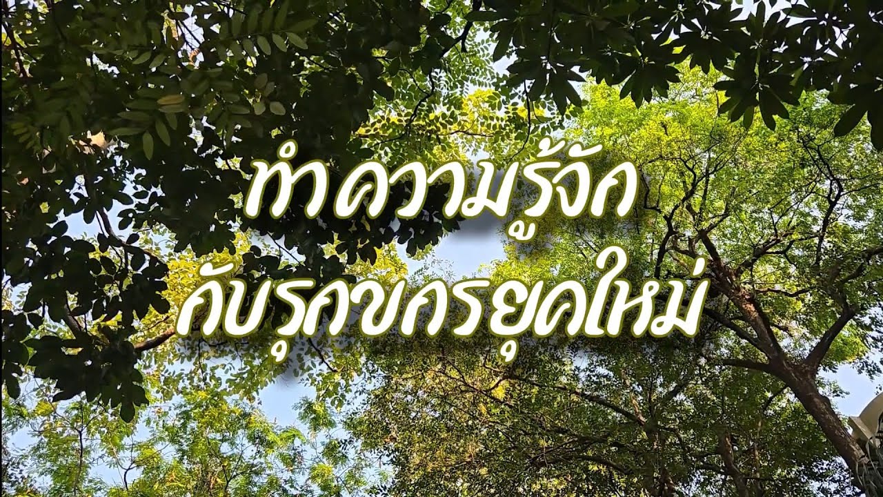 อาชีพที่มีมานานแต่น้อยคนนั้นรู้จัก 