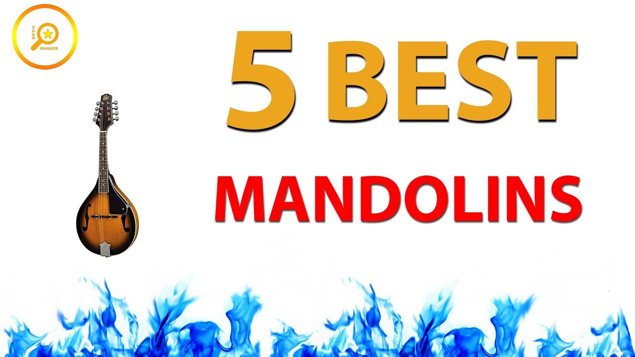 Best Cheap Mandolins ✅