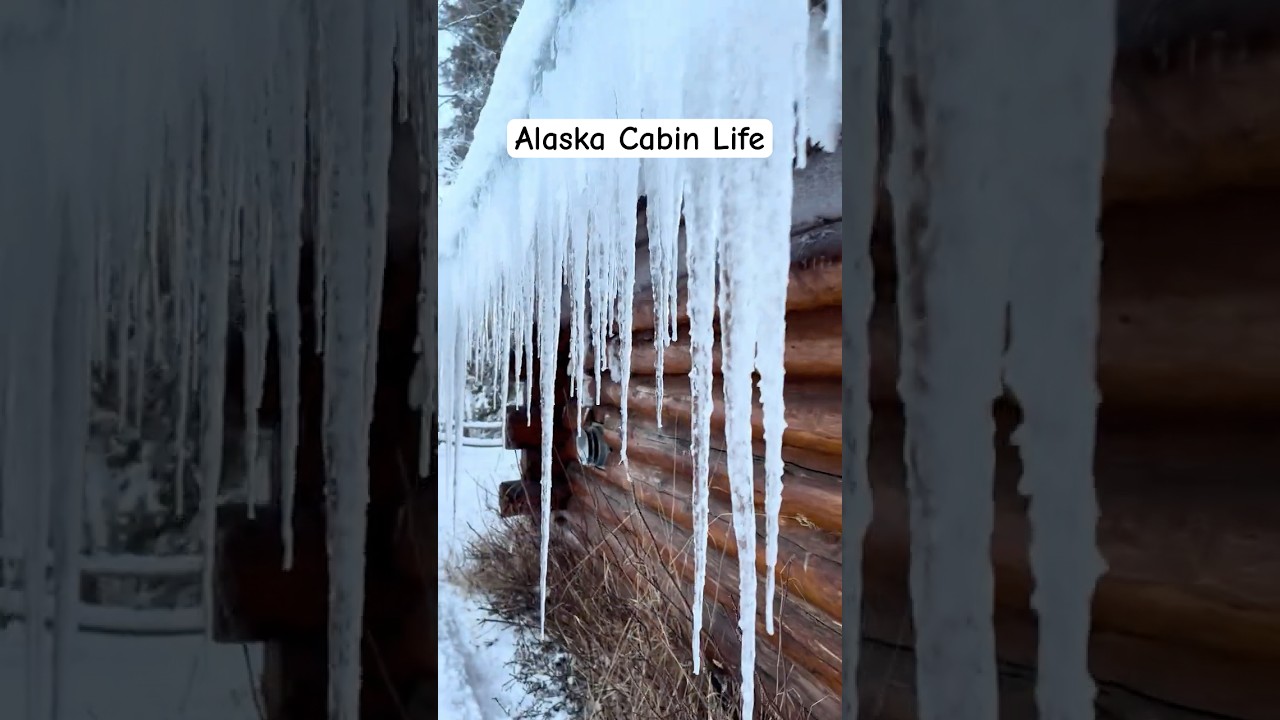 Хруст снега на Аляске при -20&deg;F ASMR ❄️🥶 #Аляска #жизньвдомике