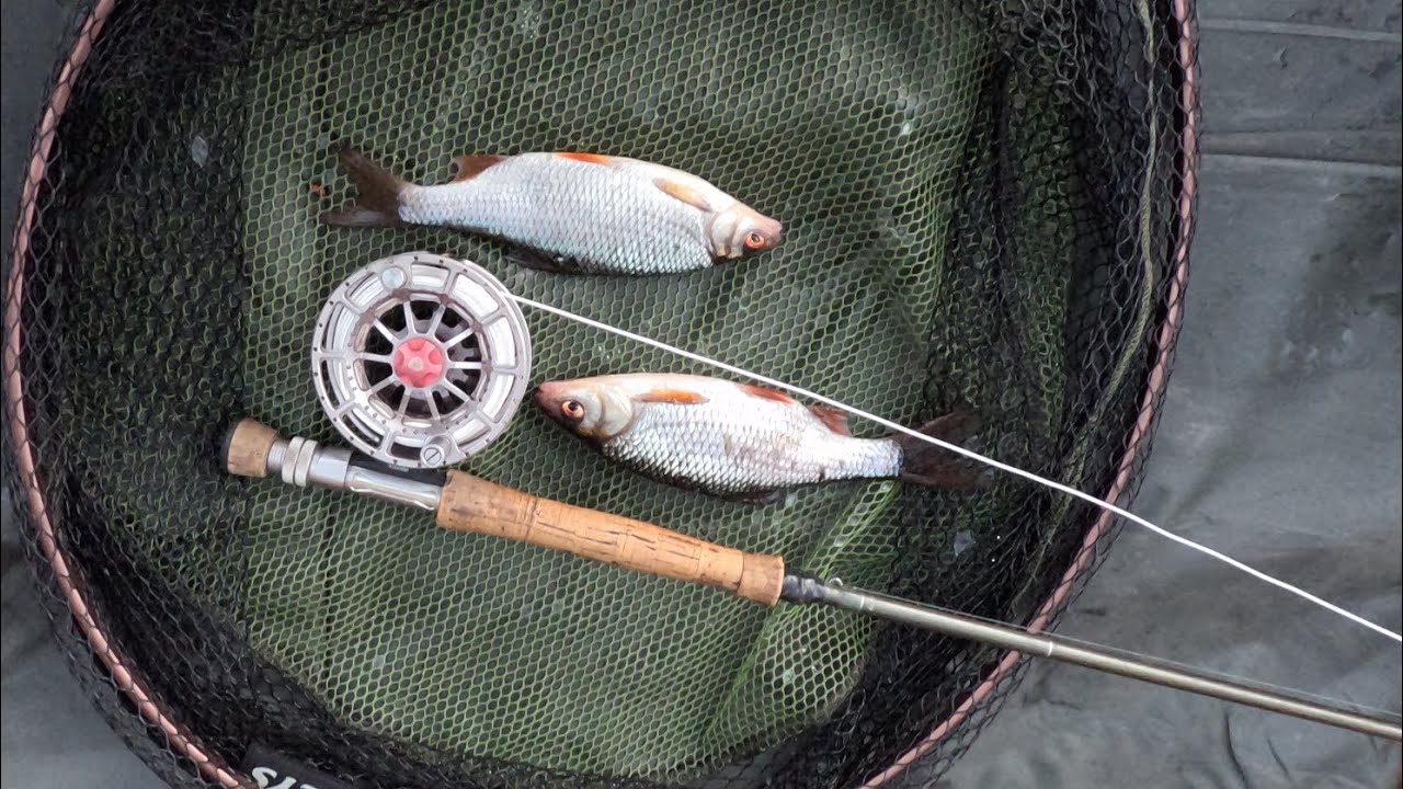 FISHING for Roach at edgelaw Reservior midlothian scotland. 