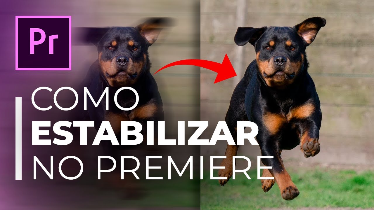 Como ESTABILIZAR v&iacute;deos no PREMIERE (F&aacute;cil e R&Aacute;PIDO!)