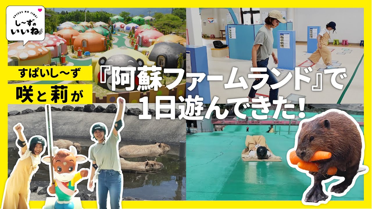 【し～ずのいいね！】阿蘇ファームランドで1日遊んできた！　運動や動物との触れ合いでリフレッシュ