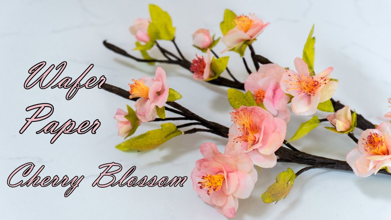 Сакура из Вафельной бумаги