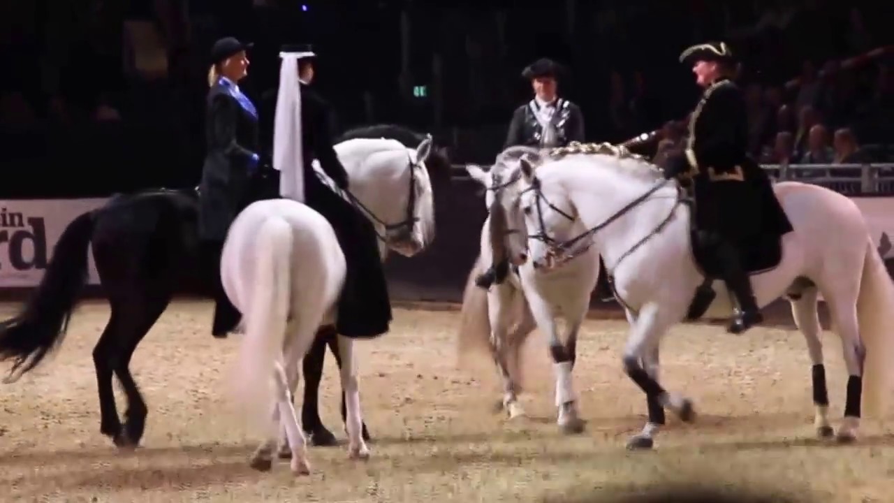 Eindrücke Equitana 2017 - P.R.E. Lusitano Spanier