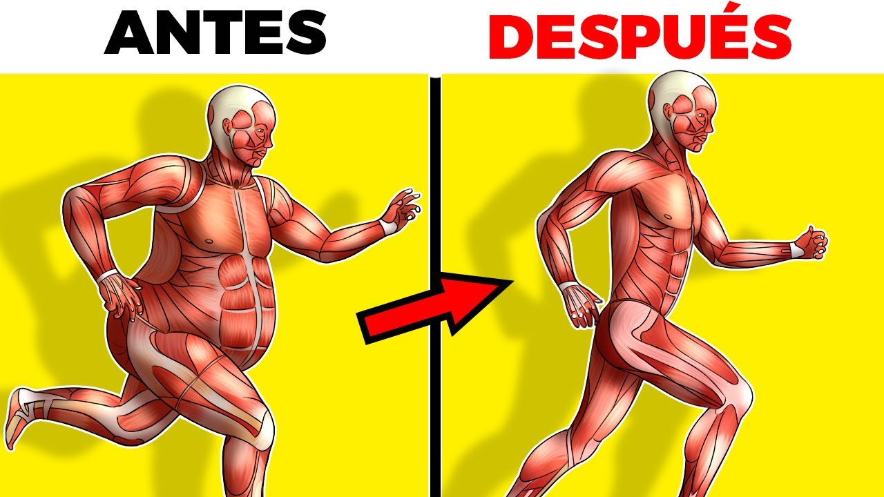 🏃 9 increíbles beneficios de trotar 30 minutos al día