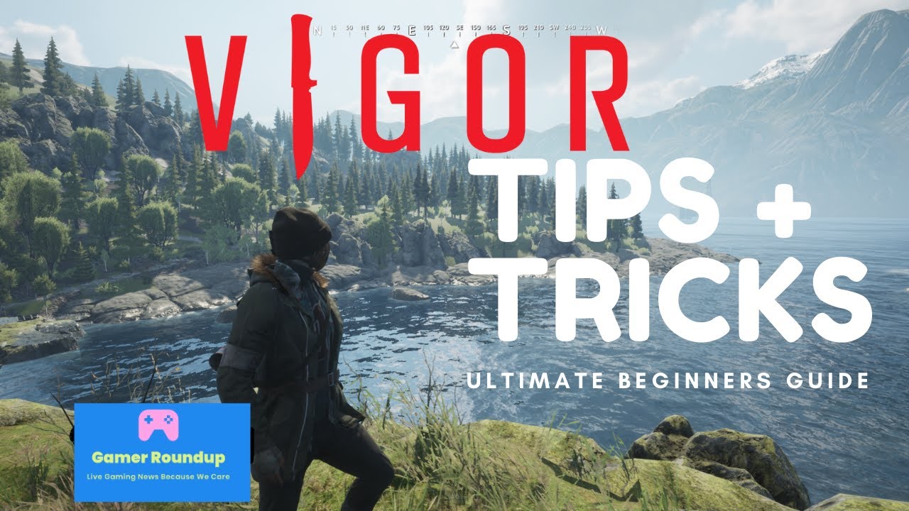 Beginners guide Top 10 Vigor tips 2022