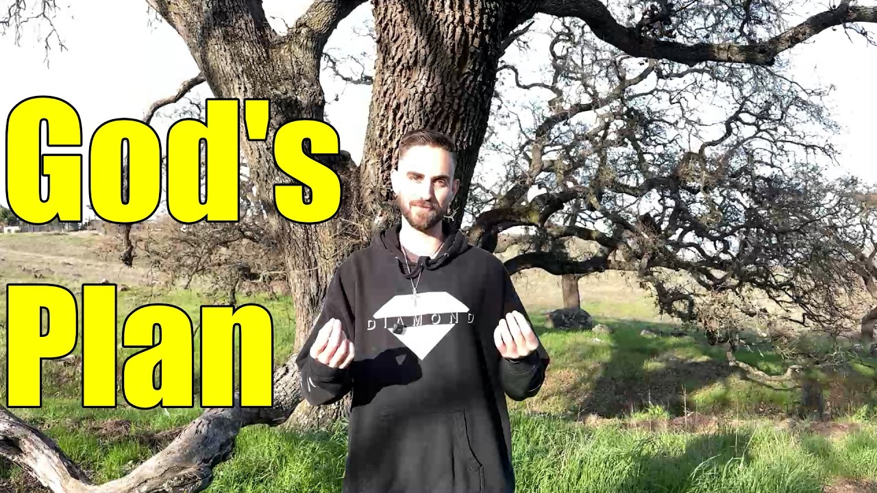 Break The Chains Of Social Conditioning And Be Free
