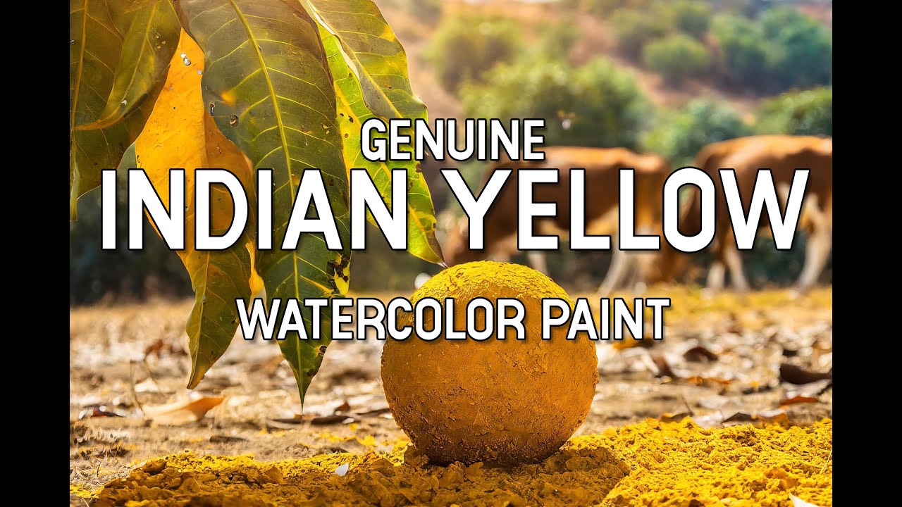 Revealing the Mysteries of Genuine Indian Yellow: From Raw Pigment to Handmade Watercolor
